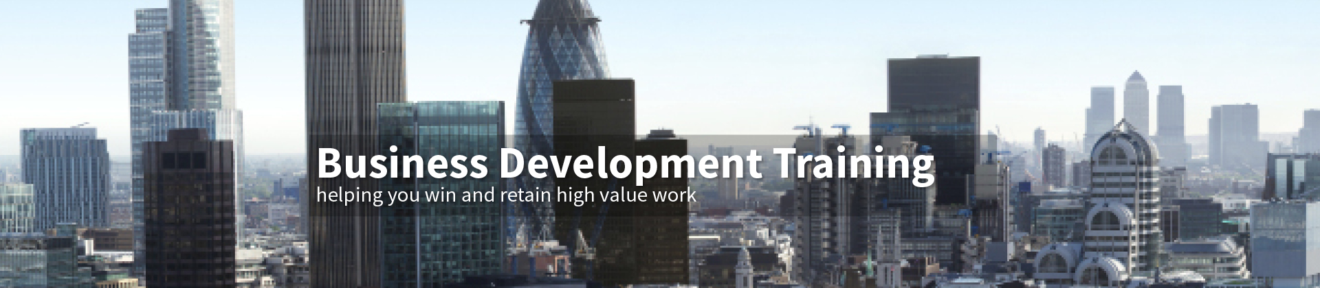 Business Development Training